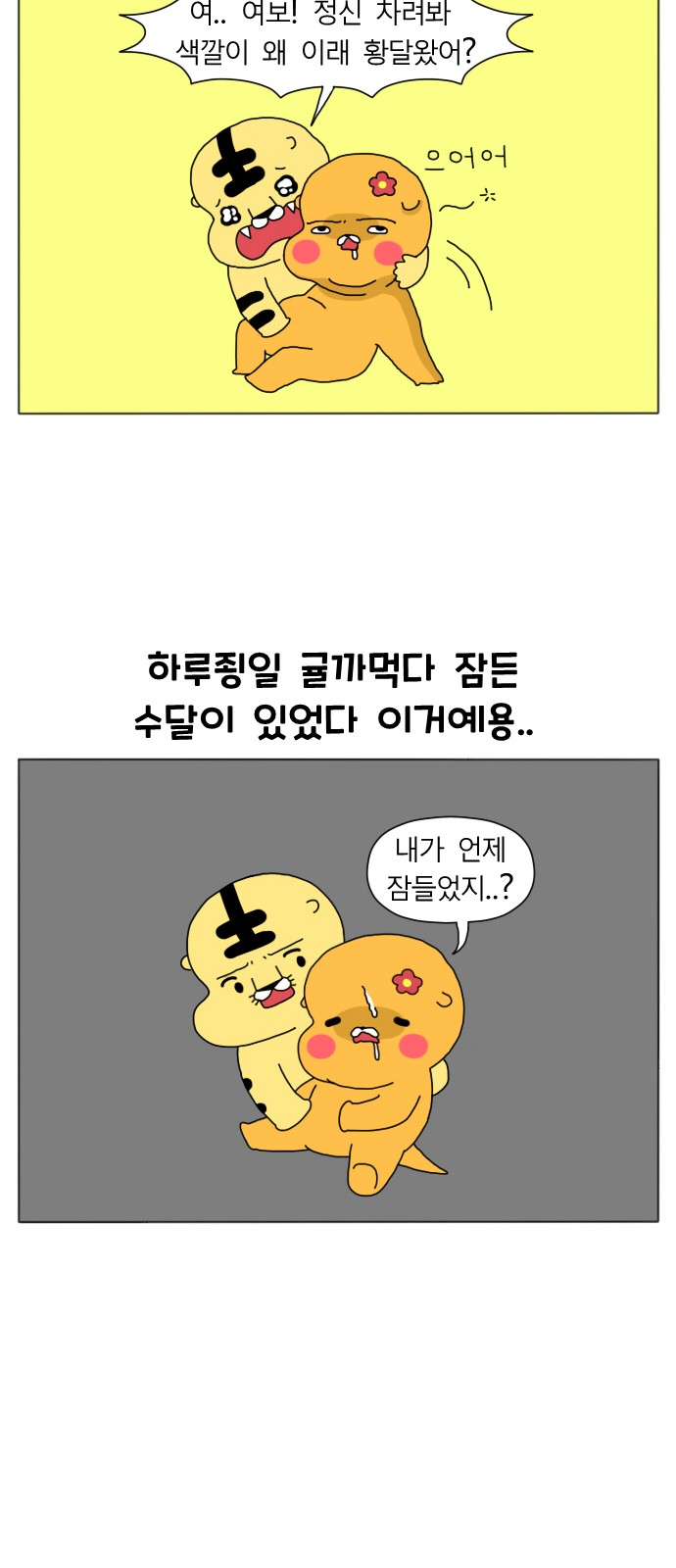 15 페이지