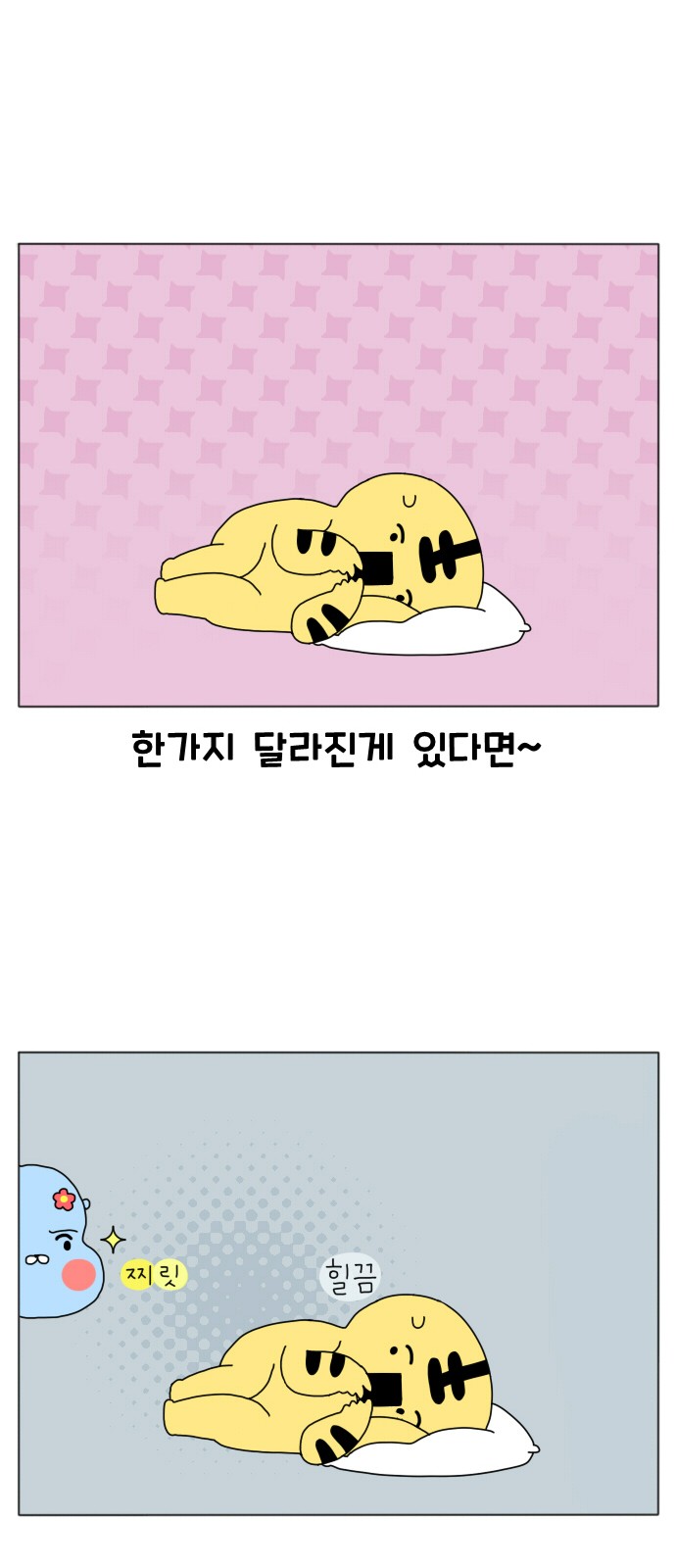5 페이지