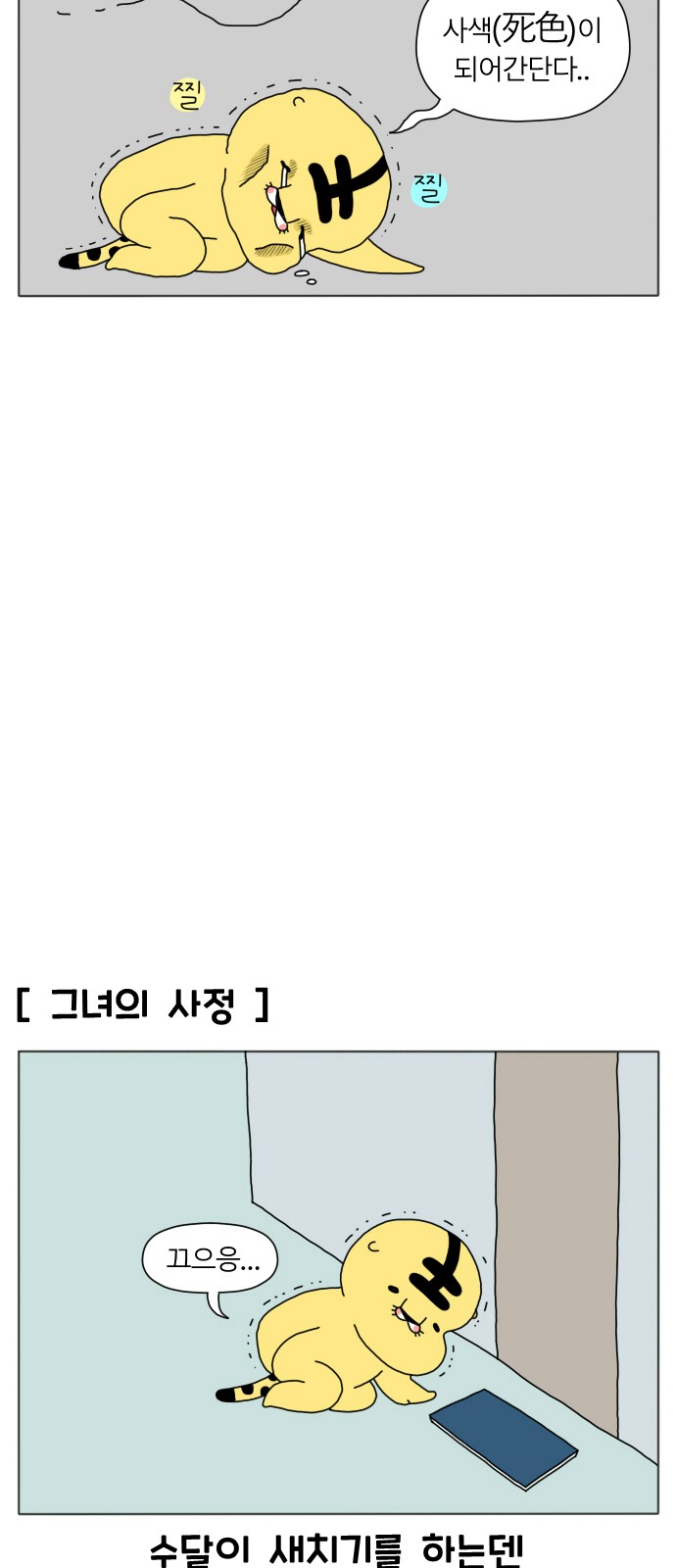 5 페이지