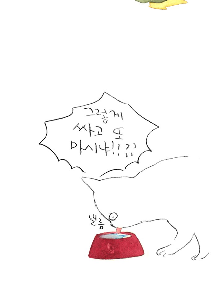 15 페이지