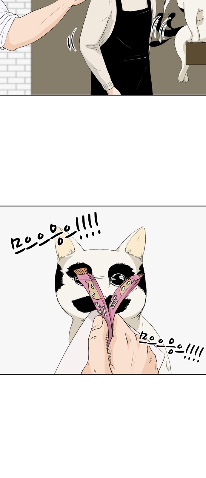 5 페이지