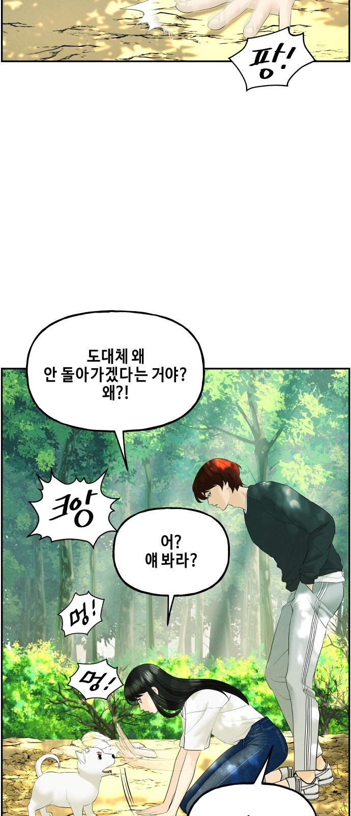 49 페이지
