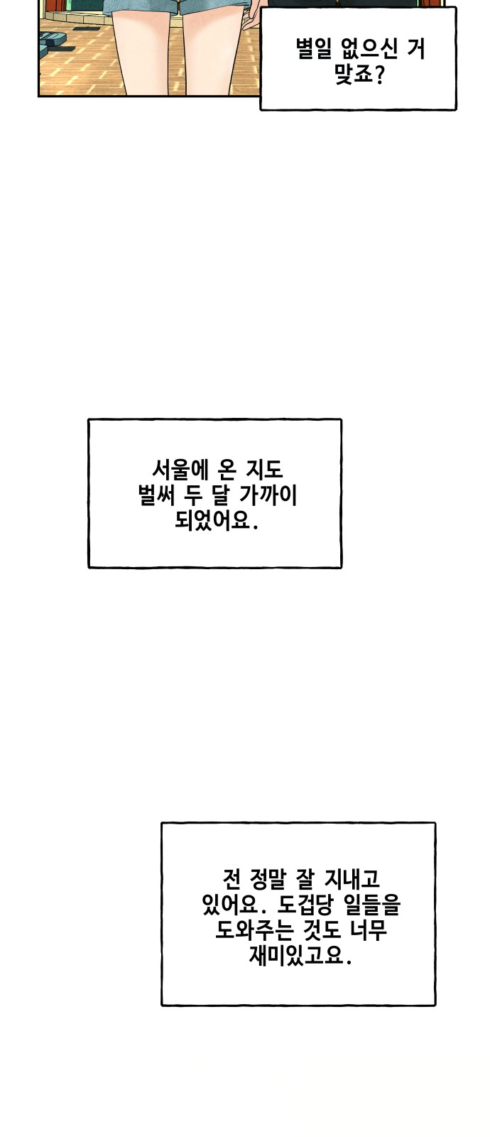 31 페이지