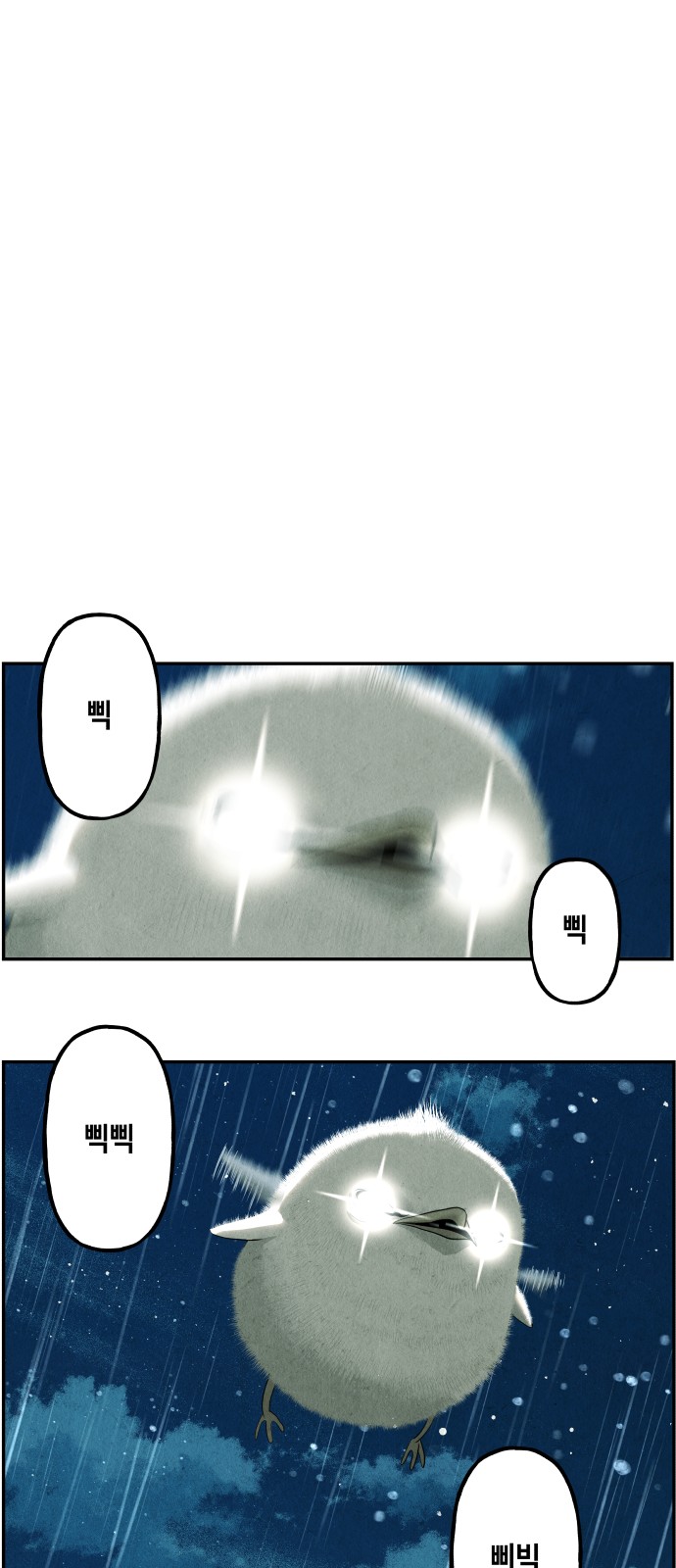 97 페이지