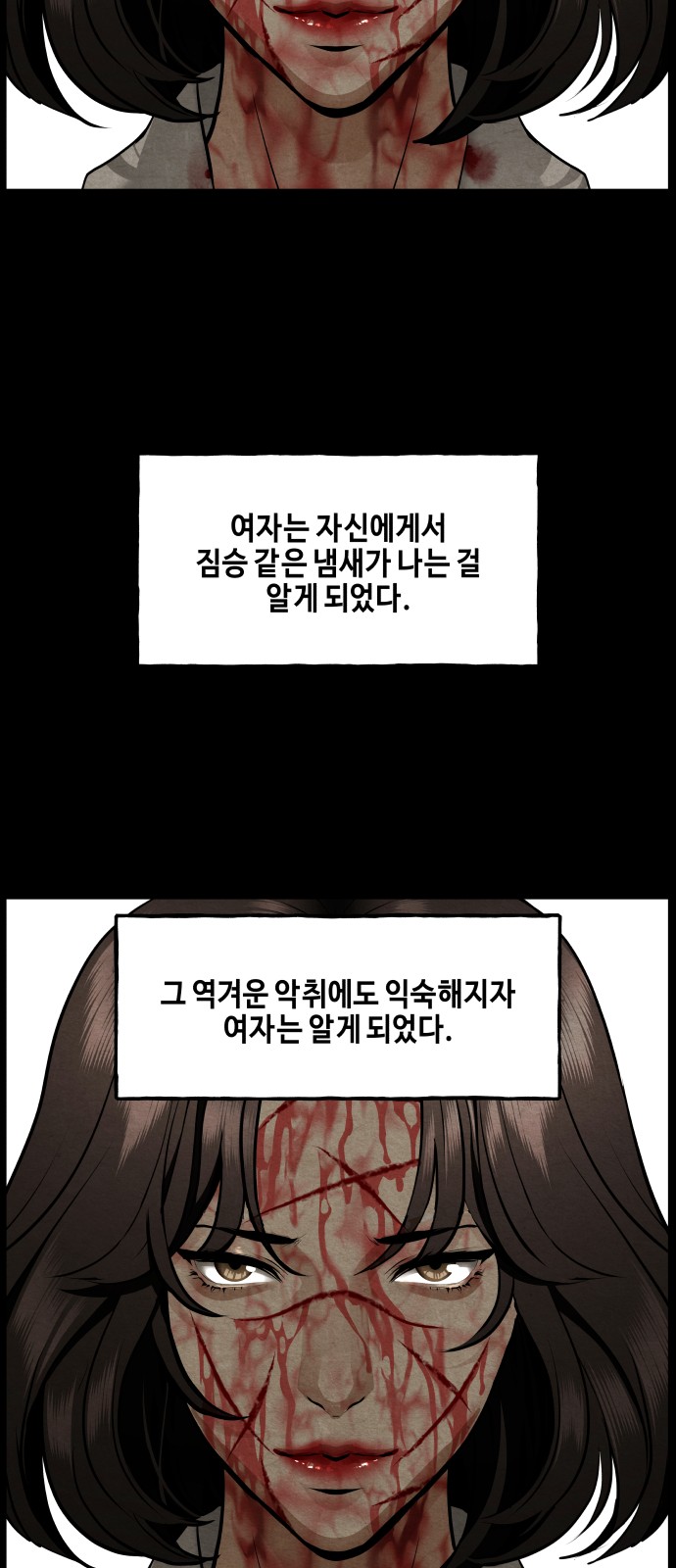 72 페이지