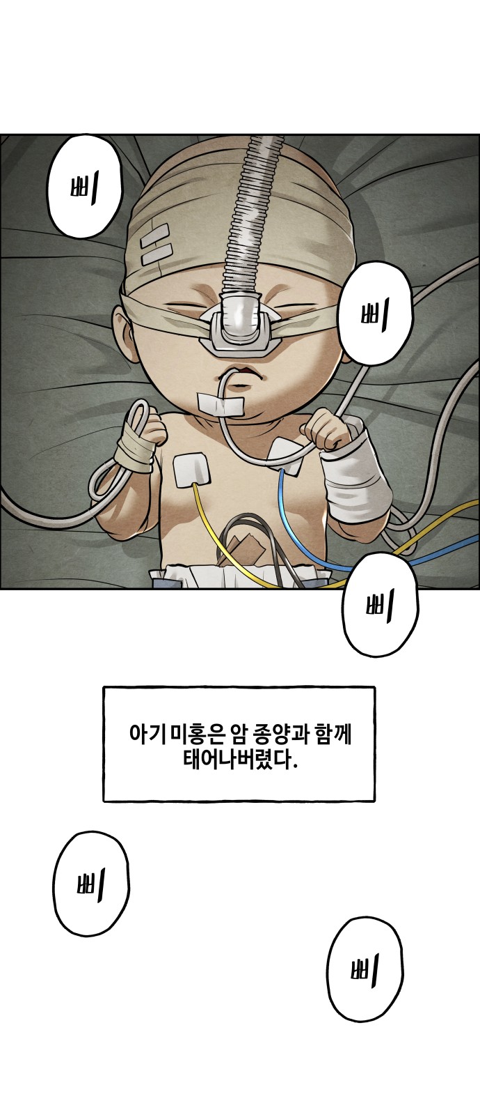 52 페이지