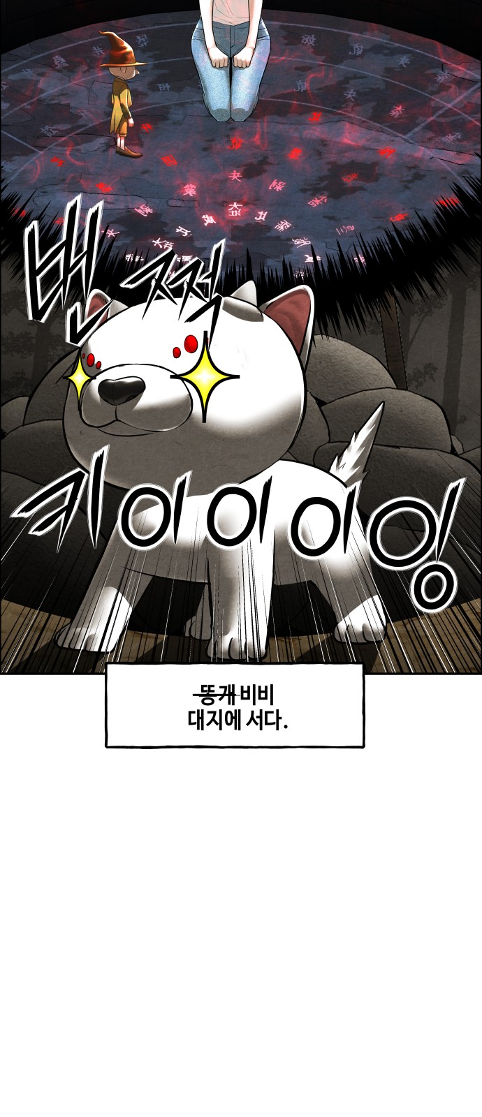 5 페이지