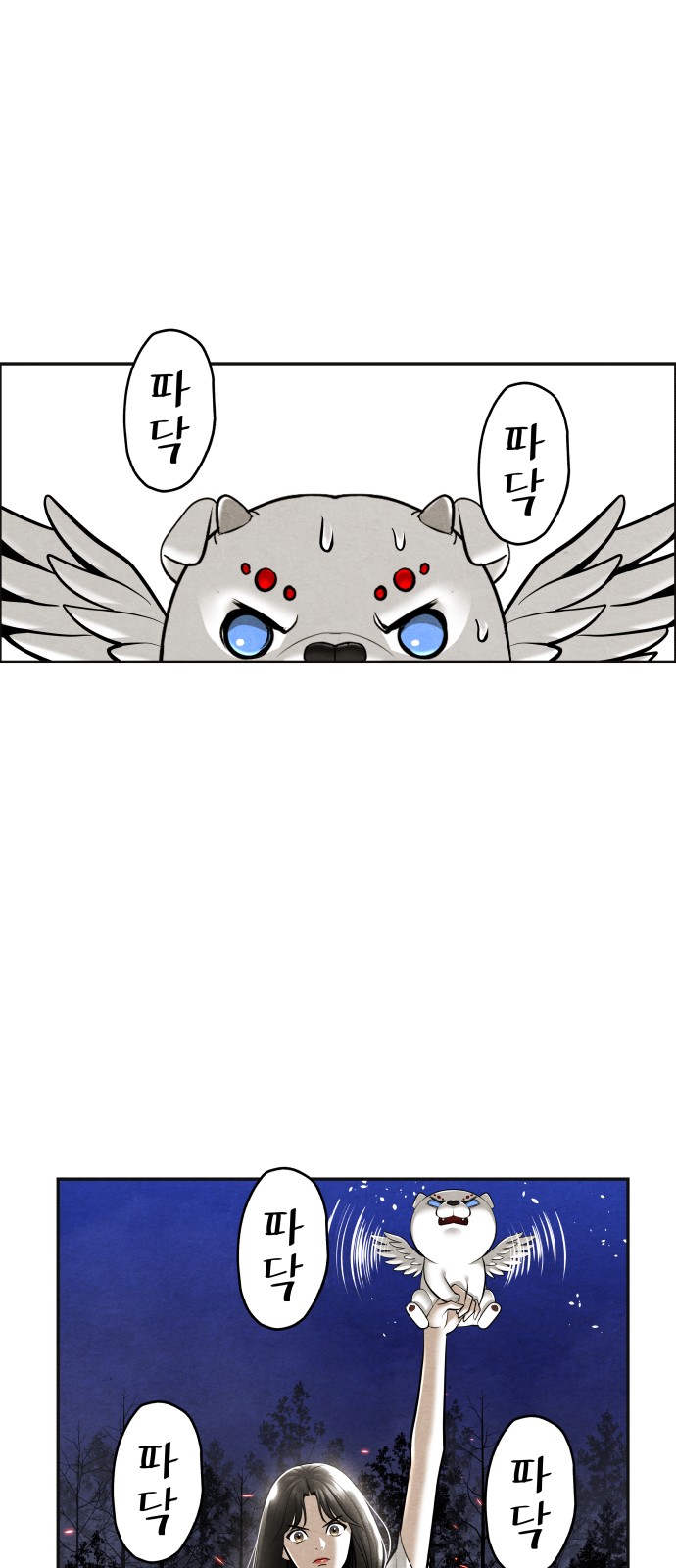 13 페이지