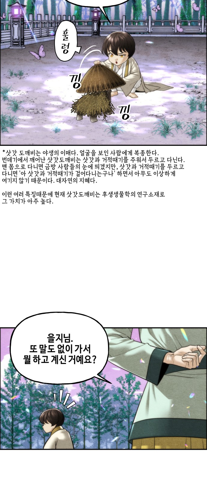 3 페이지
