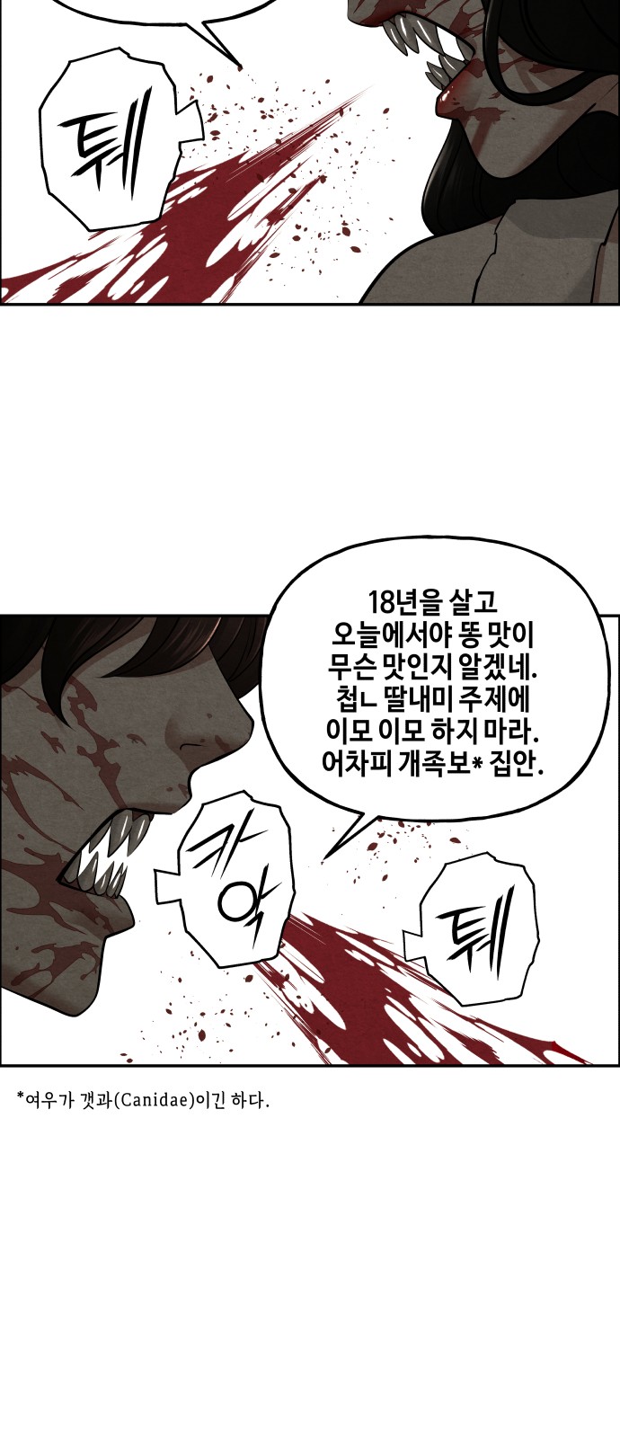 23 페이지