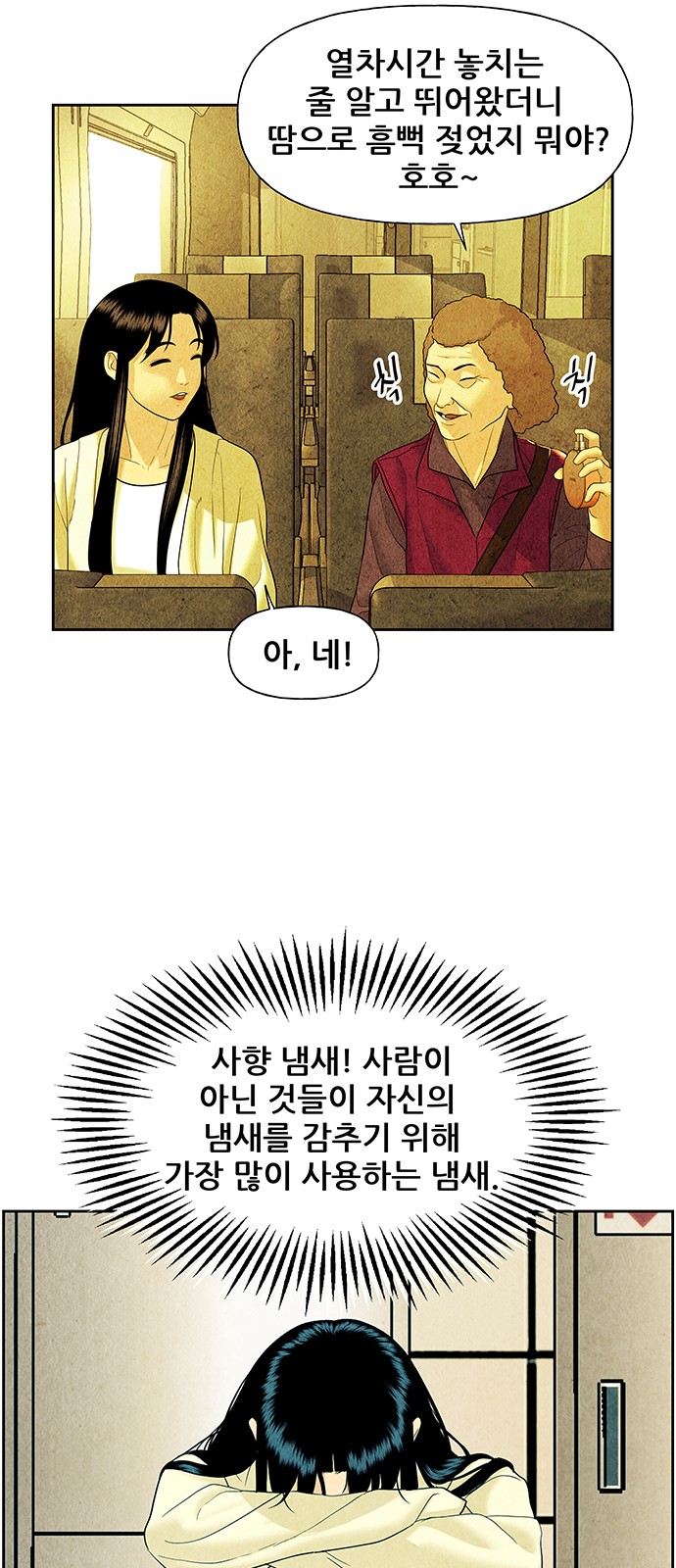 45 페이지