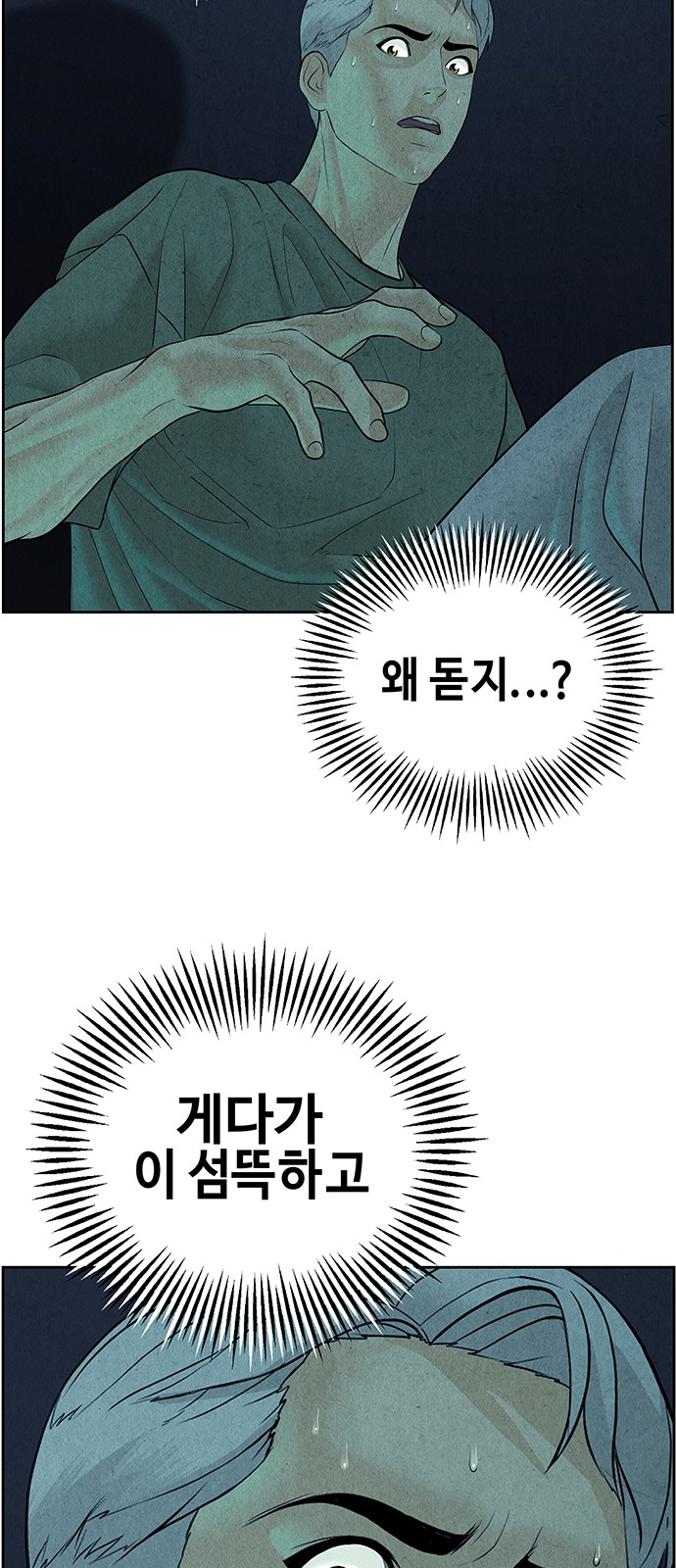46 페이지