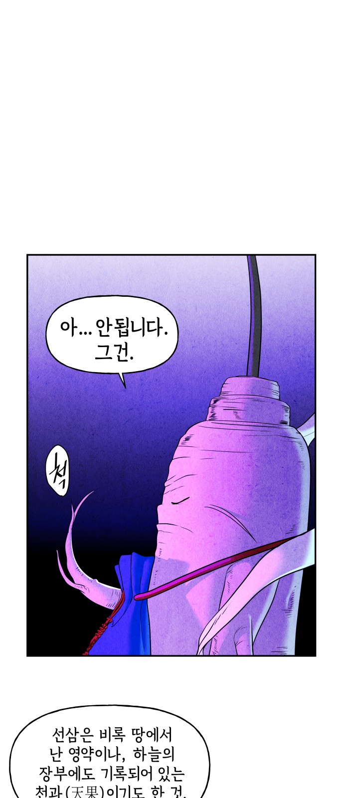 56 페이지