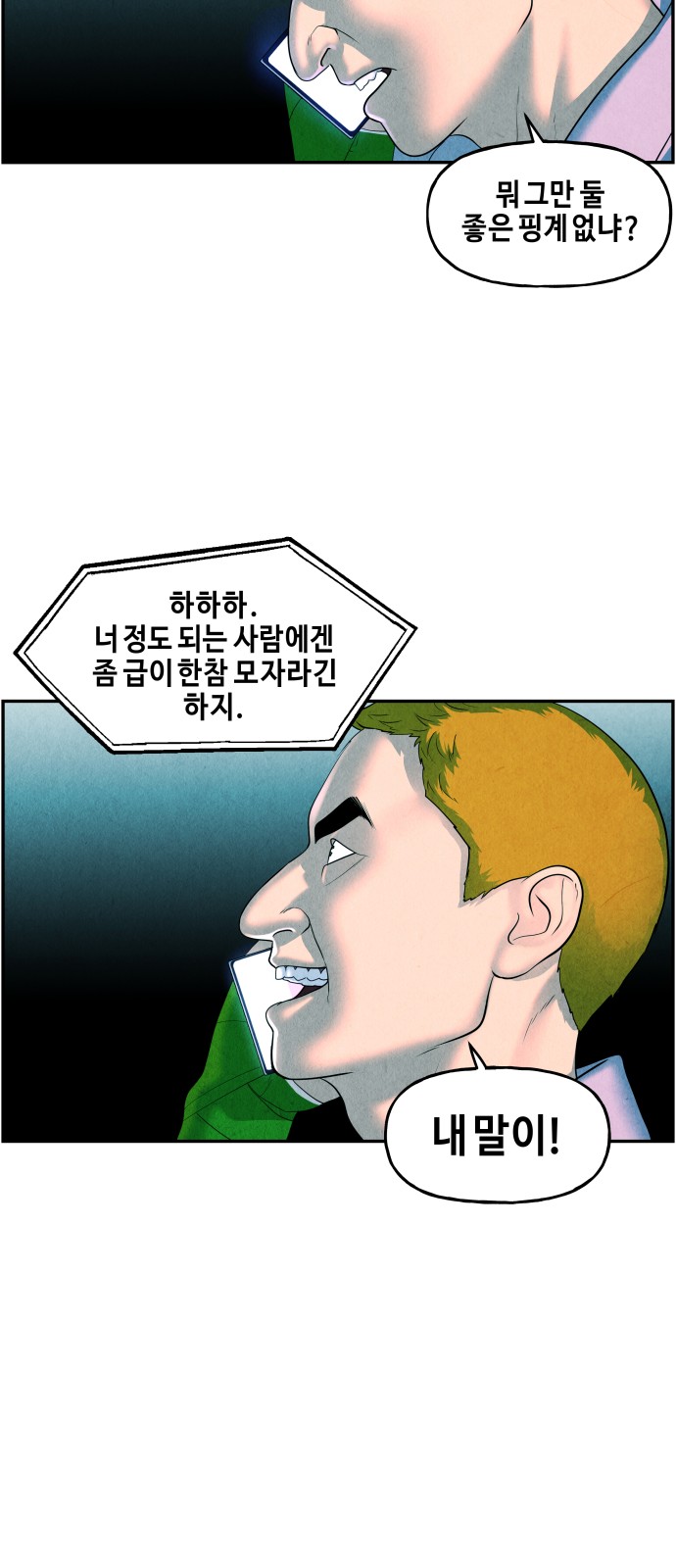 66 페이지