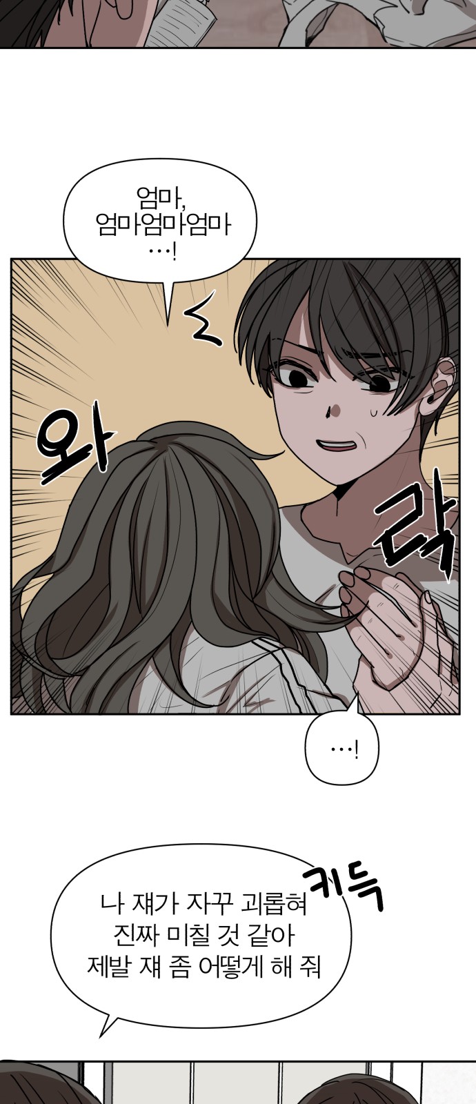 66 페이지