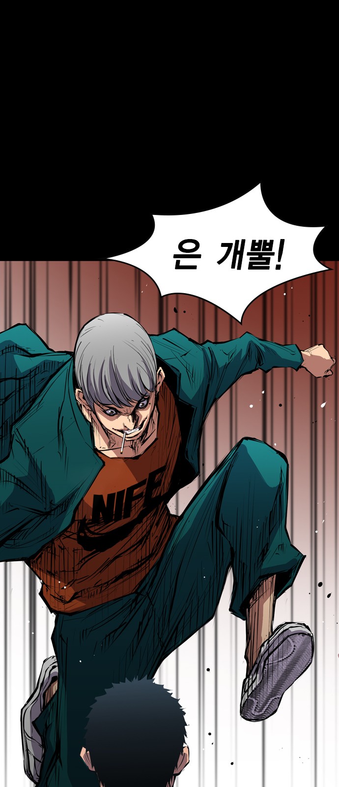 44 페이지