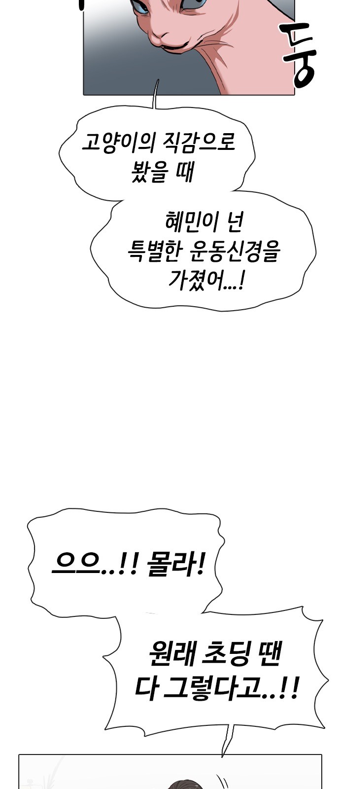 105 페이지