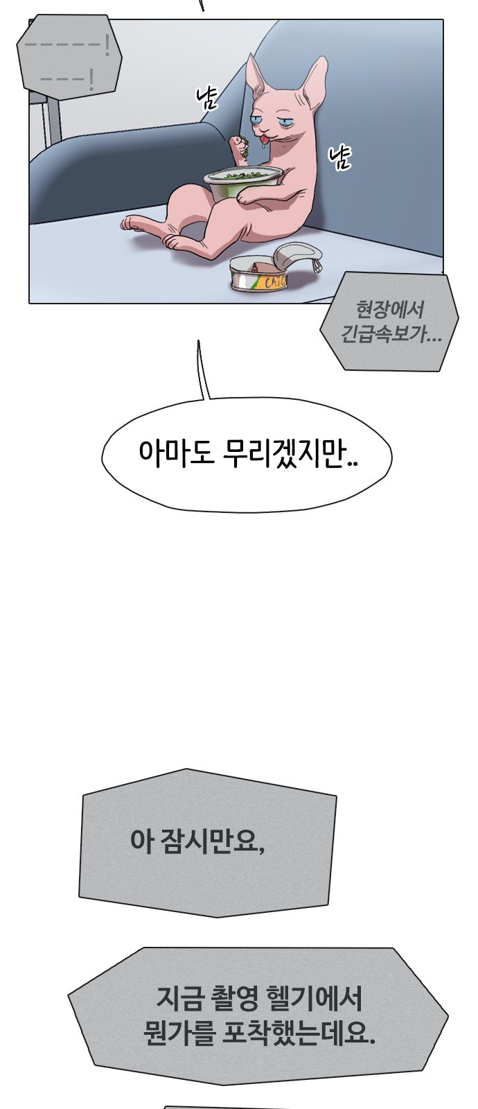 118 페이지