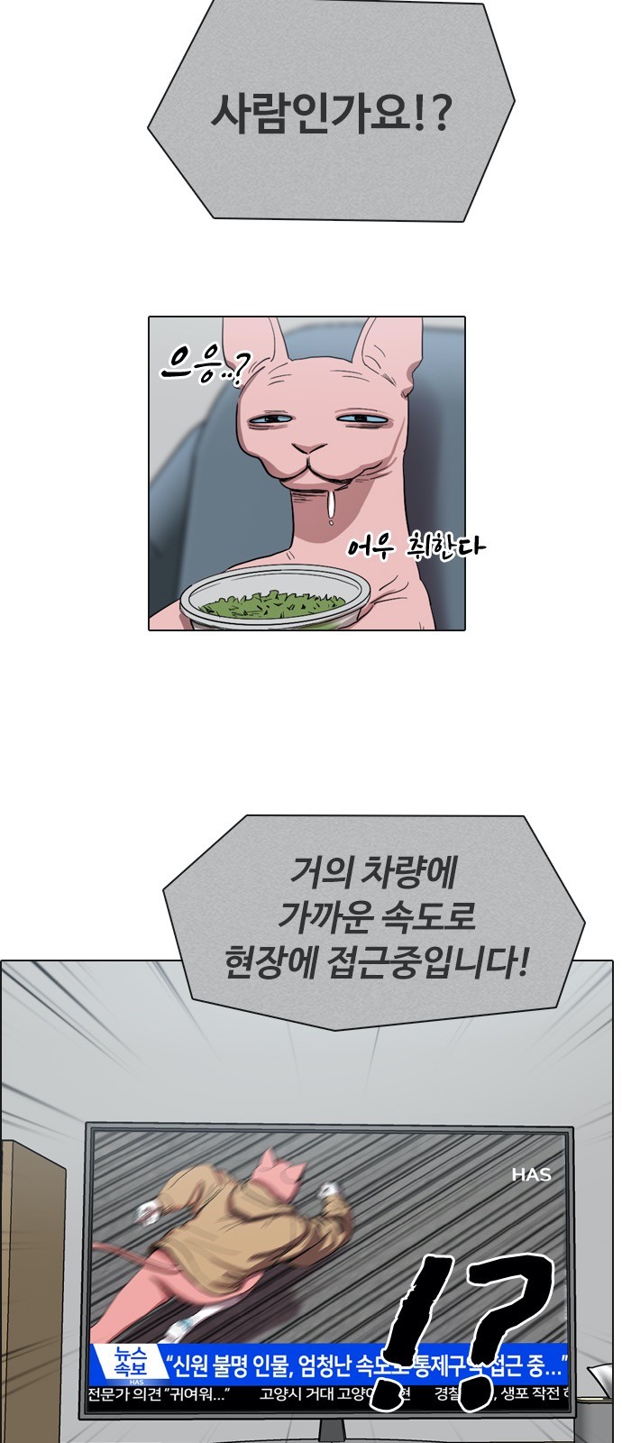 119 페이지