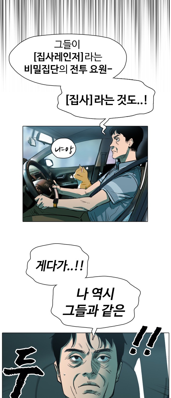 51 페이지
