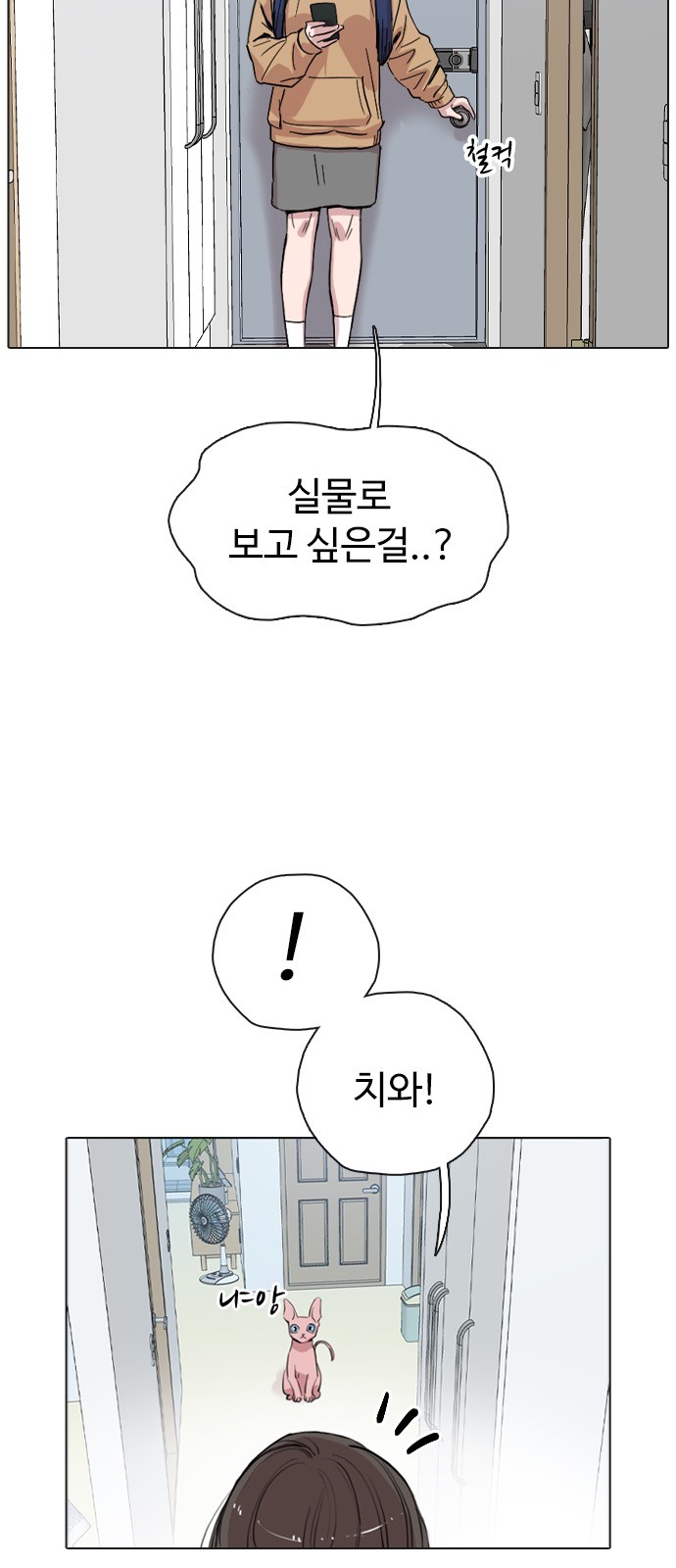 60 페이지