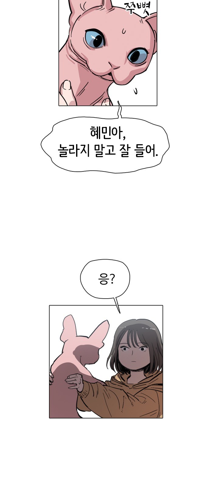 63 페이지