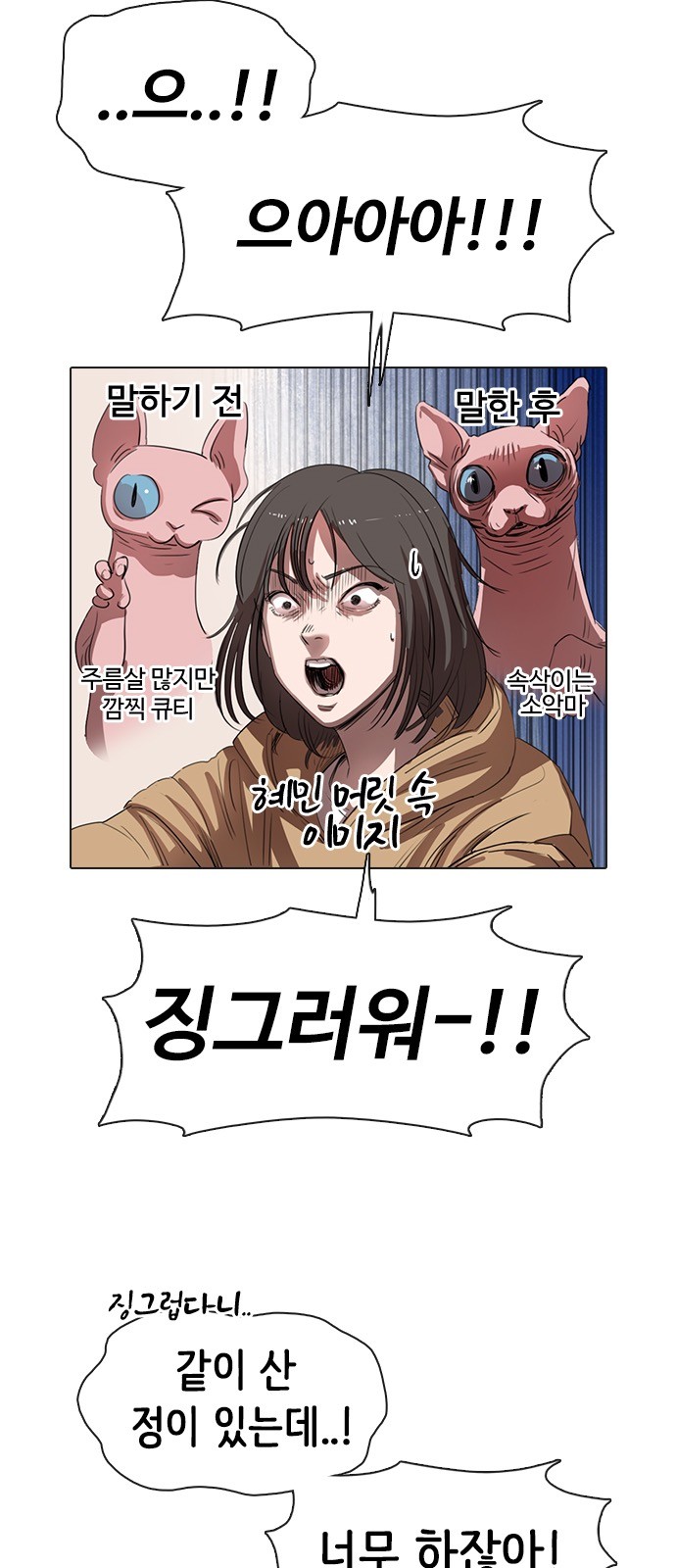 65 페이지