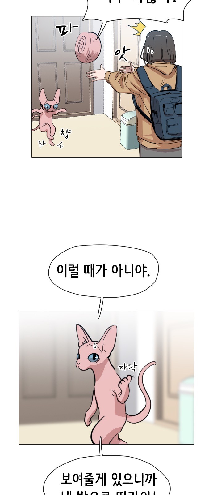66 페이지