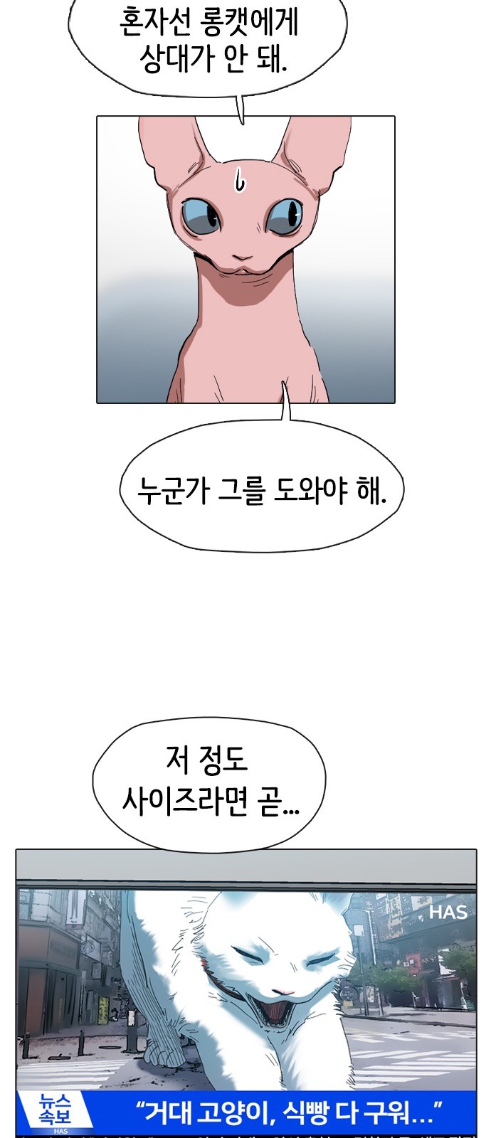 95 페이지