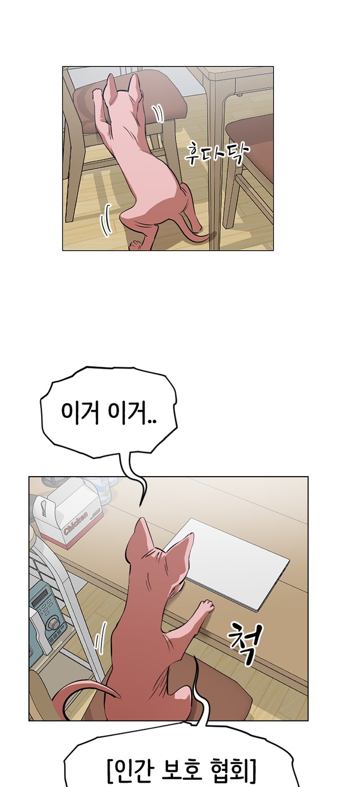 24 페이지