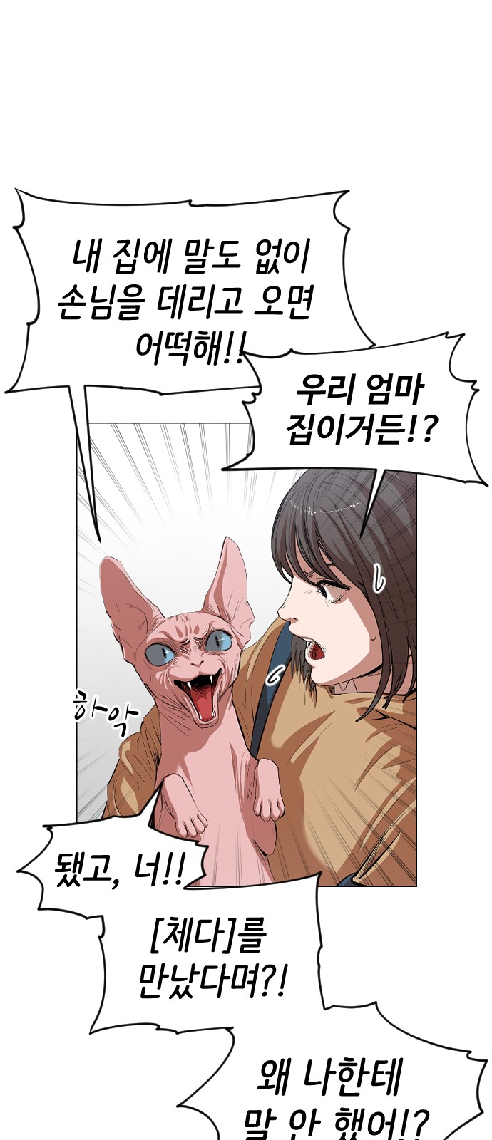 49 페이지
