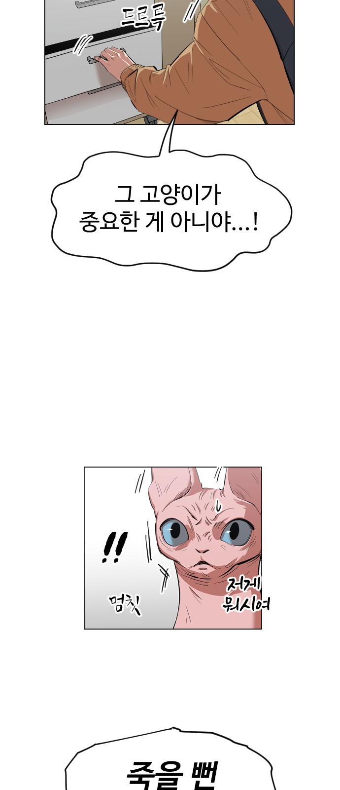 52 페이지