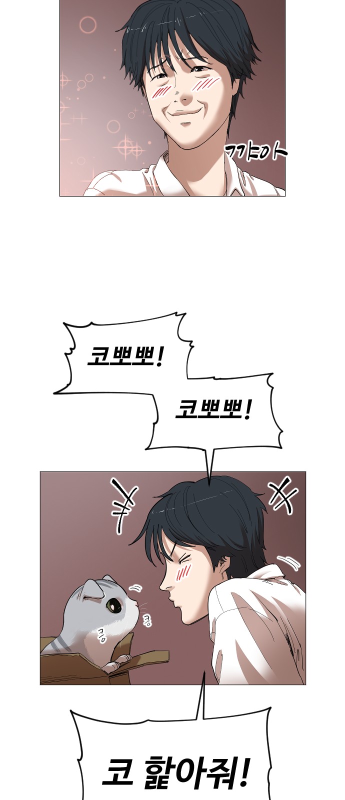 29 페이지