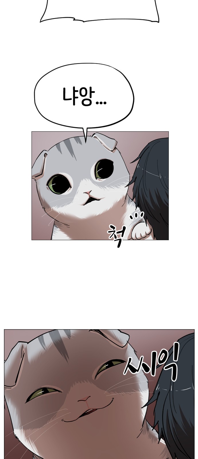 30 페이지
