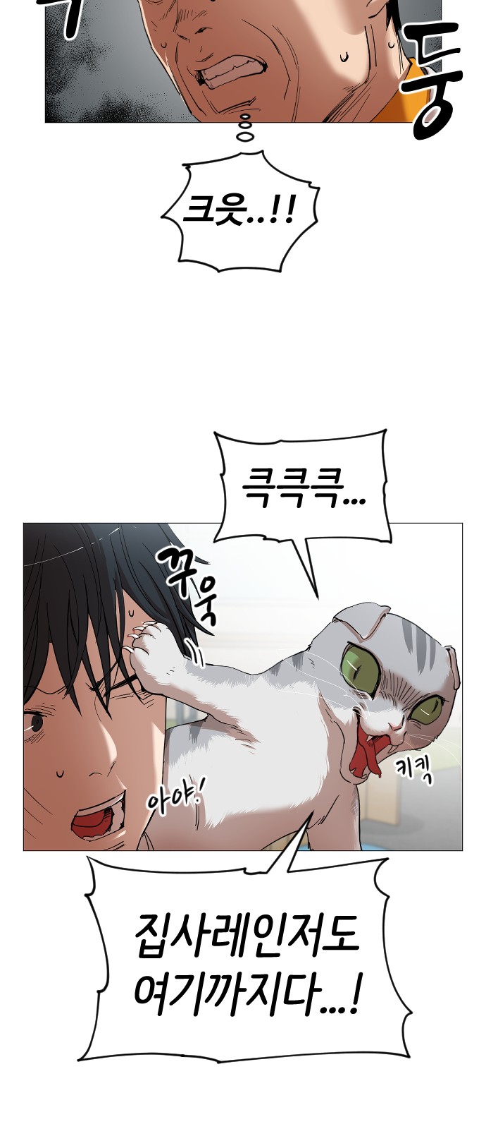 40 페이지