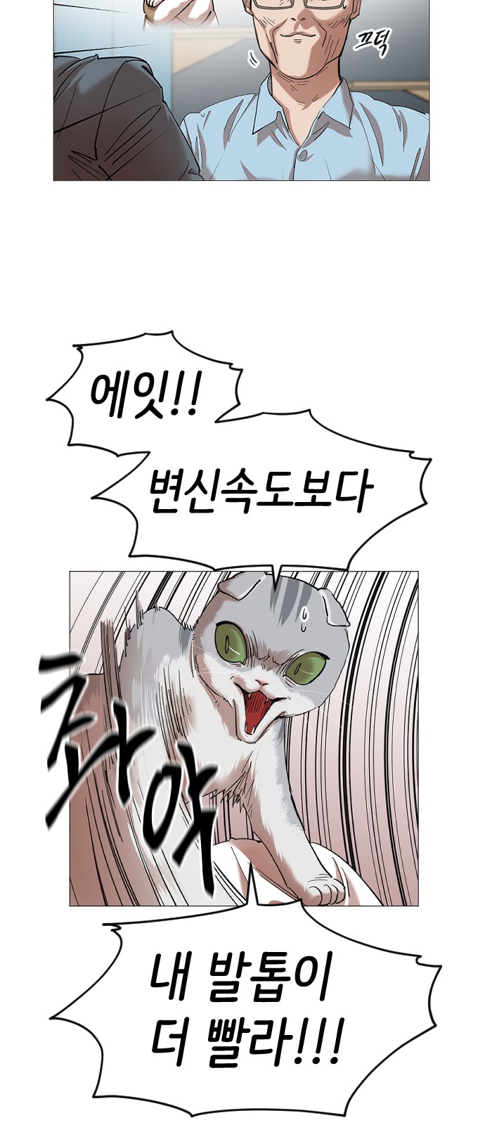 54 페이지