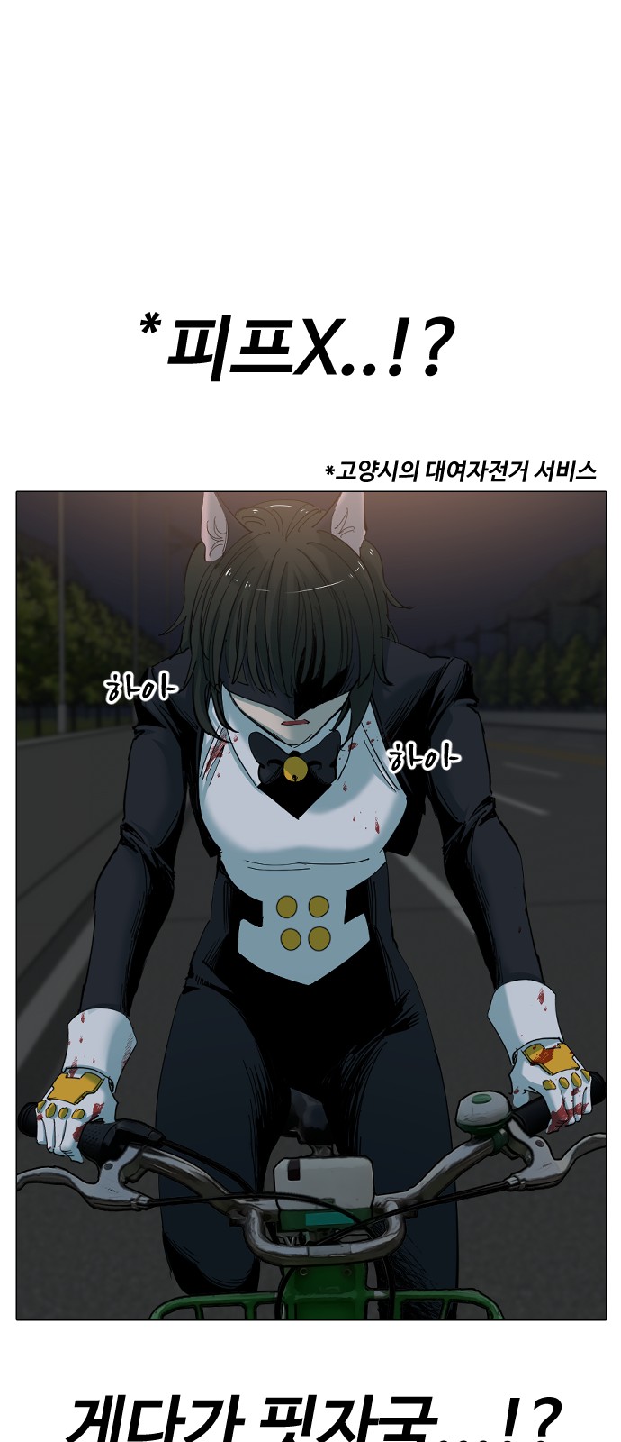 17 페이지