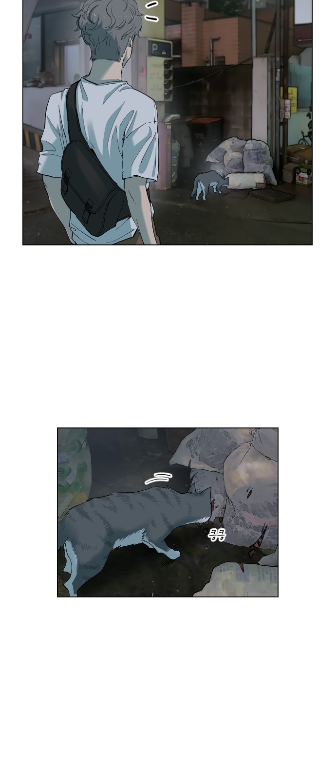 61 페이지