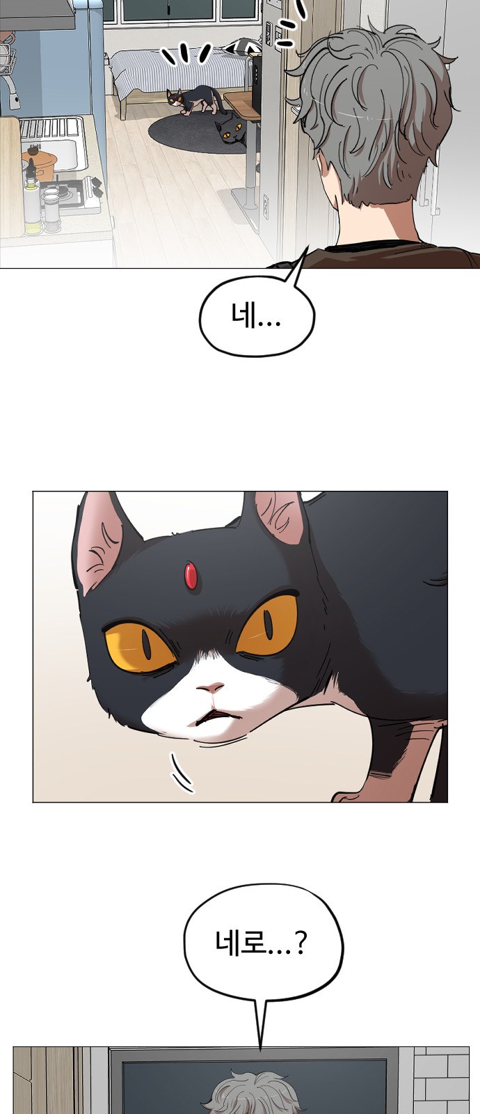31 페이지