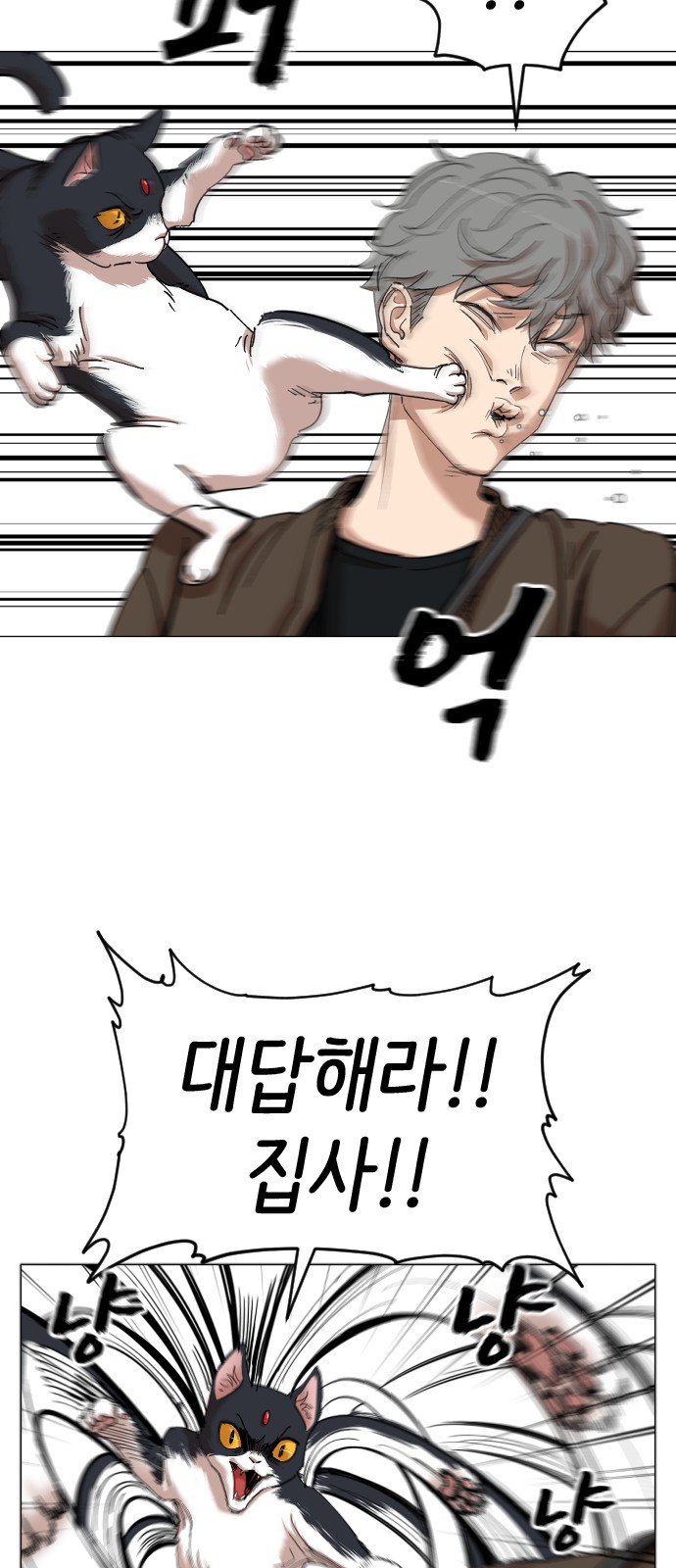 33 페이지