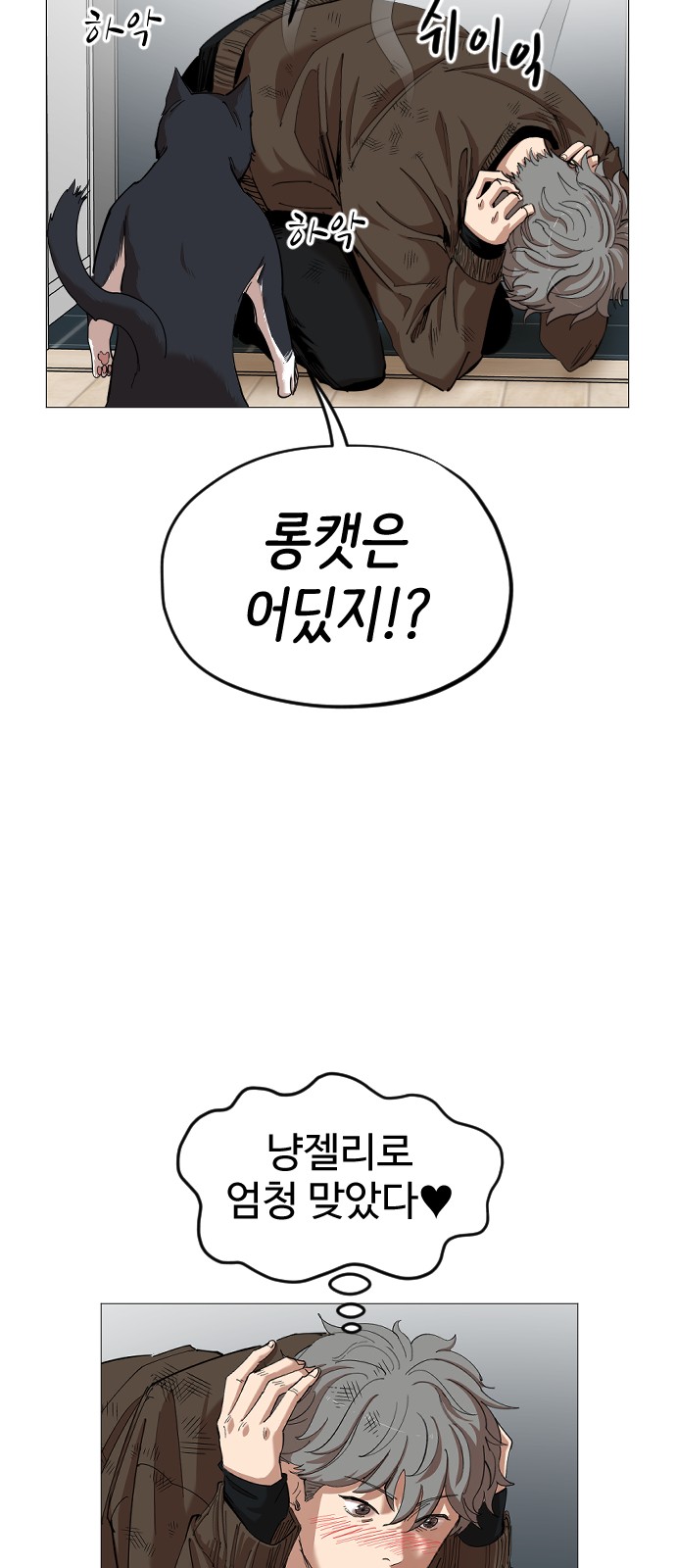 37 페이지