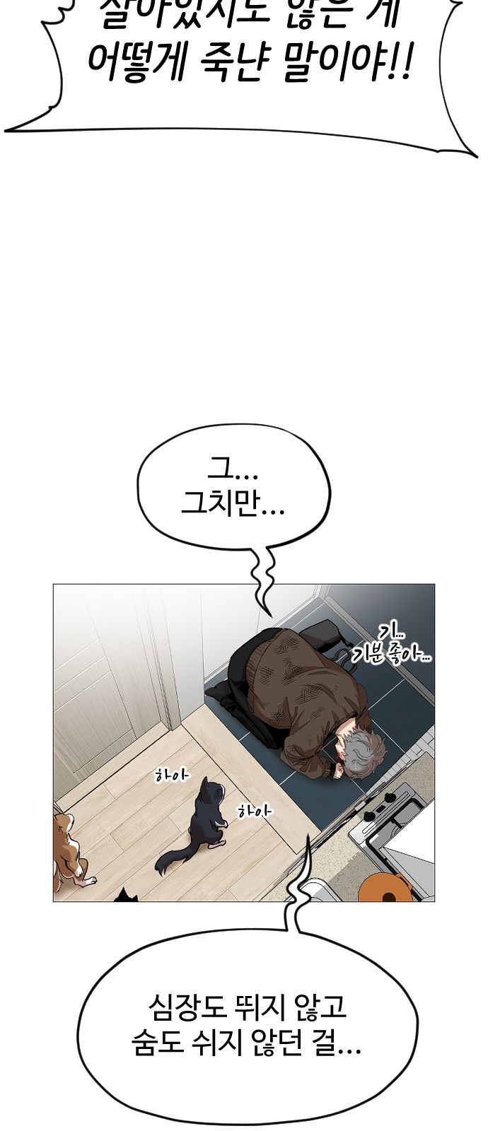 41 페이지