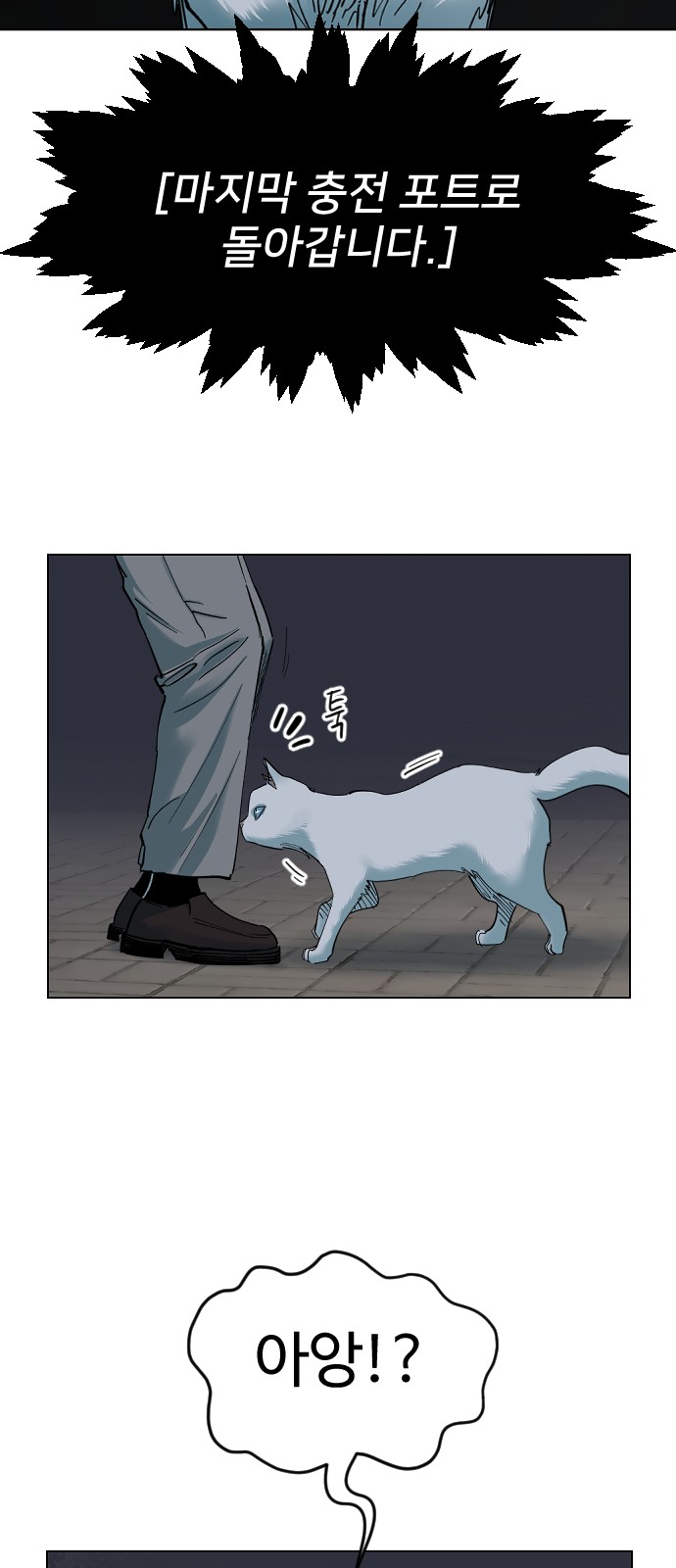 56 페이지