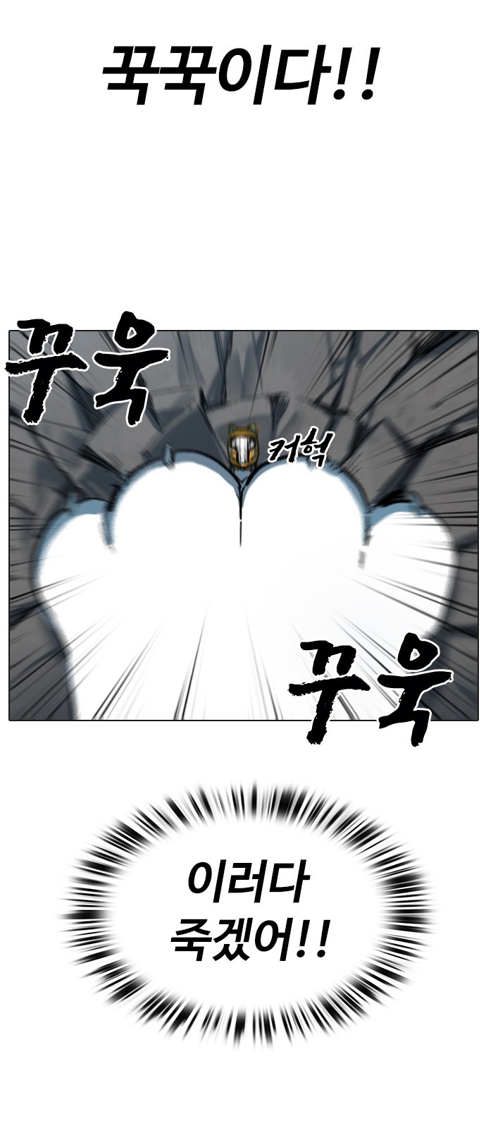 30 페이지
