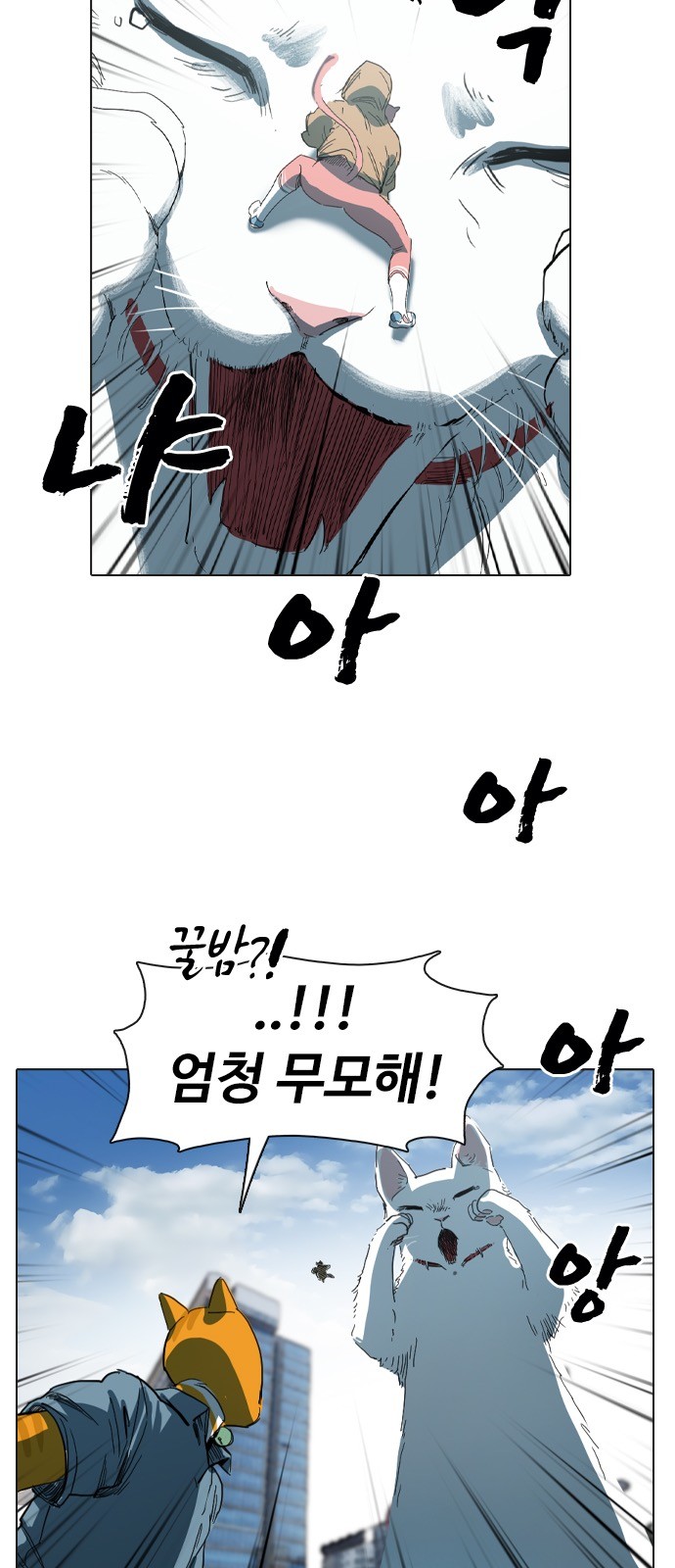 43 페이지