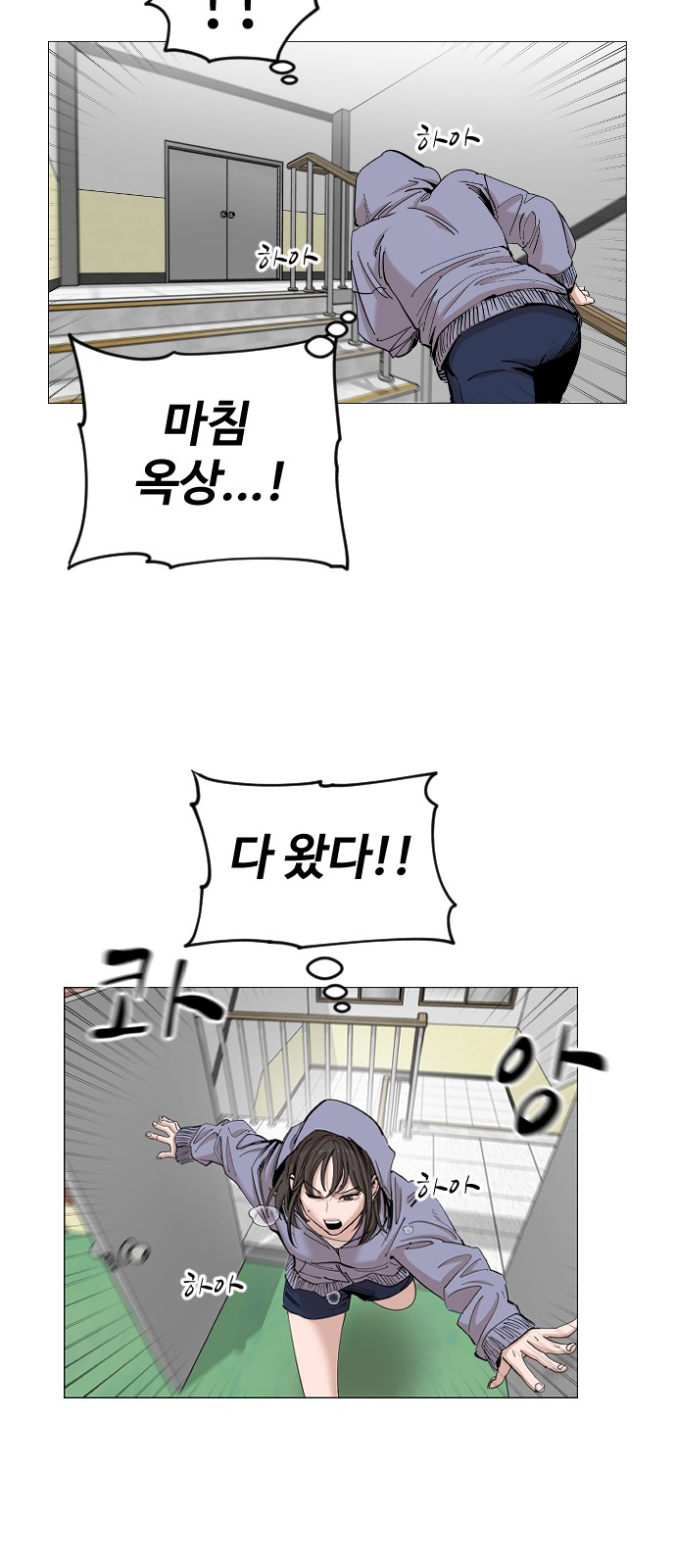 20 페이지