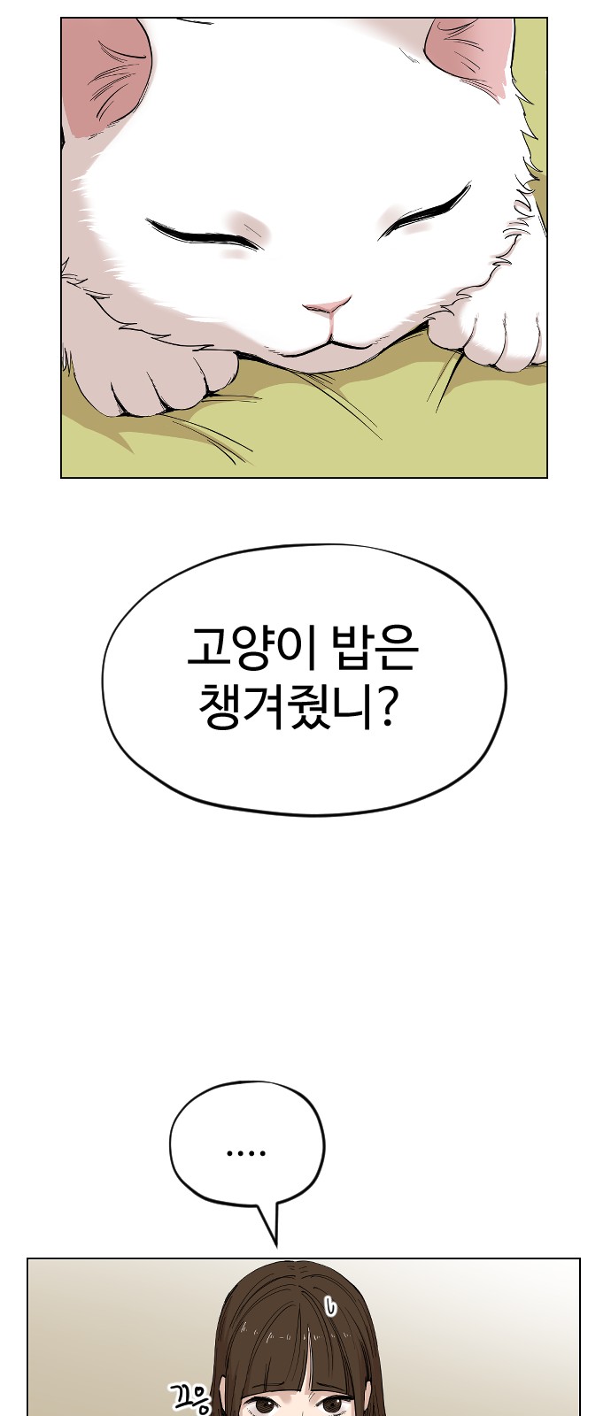 53 페이지