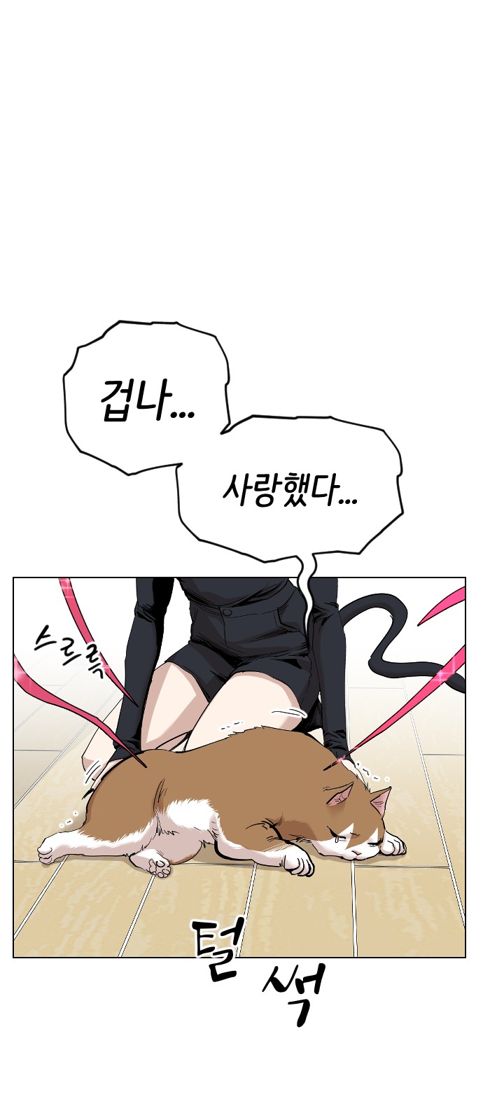 66 페이지