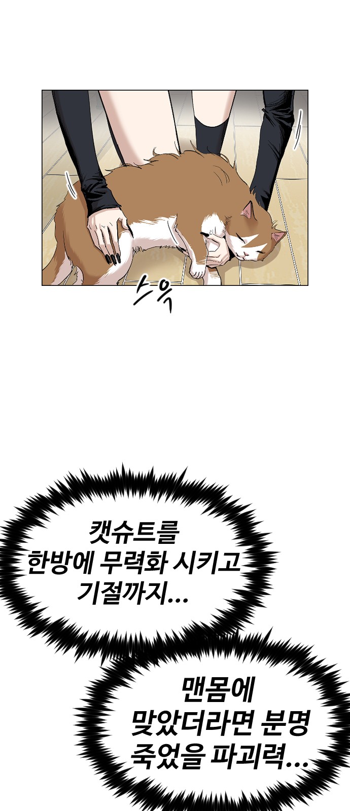 69 페이지