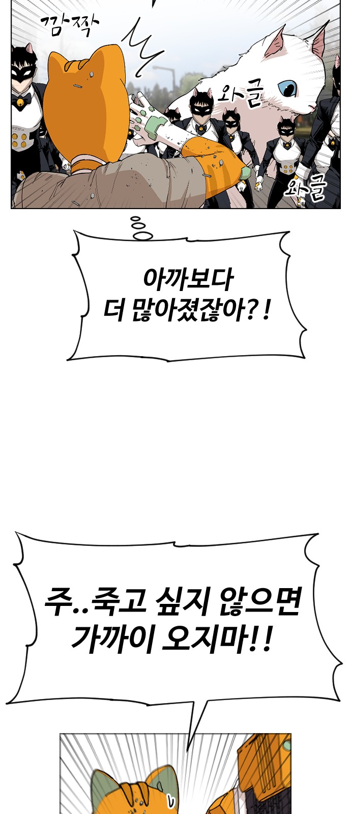 53 페이지